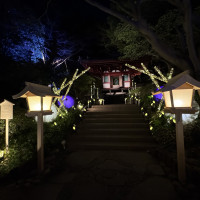 庭園：ウェディングフォトスポット