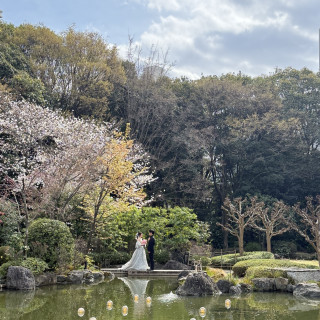 庭でのアフターフォト