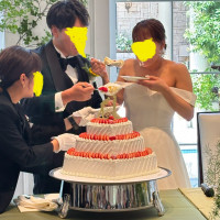 ケーキバイト