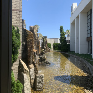 ロビーから見える景色|764489さんのノートルダムマリノア/FIVESTAR WEDDINGの写真(2505296)