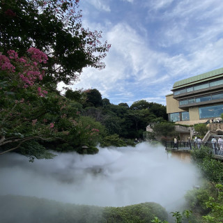 雲海