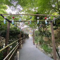 季節の飾り