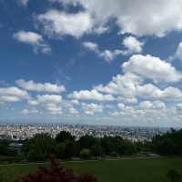 緑と街並みを一望できる贅沢な景色です。