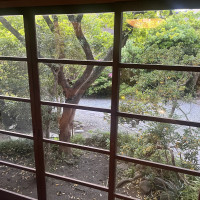 廊下から見た庭です。