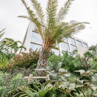 ガーデンとチャペル。