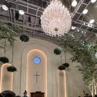 大きな木と煌びやかなシャンデリア