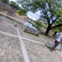 大阪城もちょうど見れて楽しめると思います