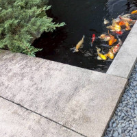 自然があります