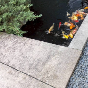 自然があります|765130さんの百花籠(ひゃっかろう)- Neo Japanesque Wedding -の写真(2605598)