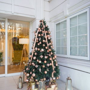 ツリー|765161さんのGRAN SUITE（グラン スイート）/FIVESTAR WEDDINGの写真(2634177)