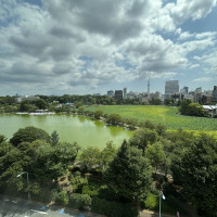 不忍池の状態やスカイツリーと全体的な緑のバランスが見れます
