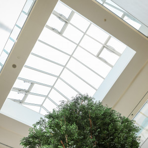 挙式会場|765327さんのアールベルアンジェ堺の写真(2599580)