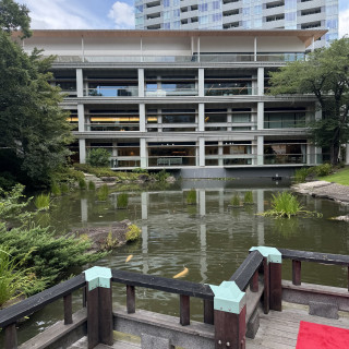 参進しているときの視点