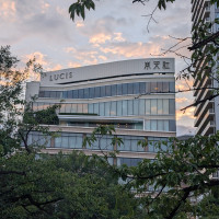 上野公園の不忍池から見えます。
