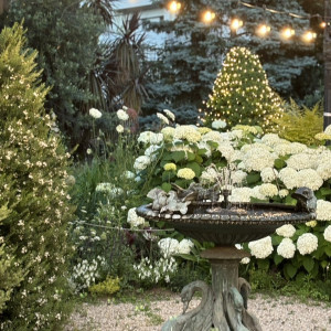 ガーデンは緑でいっぱいです|765341さんの小笠原伯爵邸の写真(2508988)