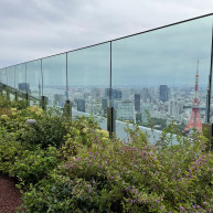 景色が綺麗です