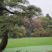 庭園