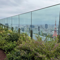 景色が綺麗です