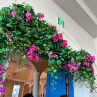 写真映えするスペース