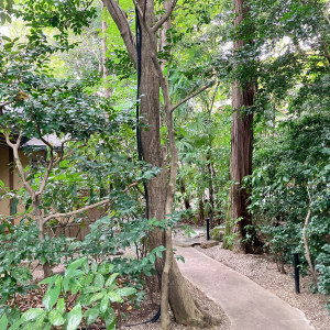 お庭|765459さんのTHE NANZAN HOUSE （ザ ナンザン ハウス）の写真(2539541)