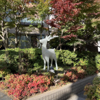 フォトスポット