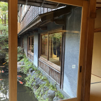 鯉がたくさんいます