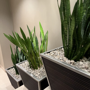 フォトスポット|765463さんのセルリアンタワー東急ホテルの写真(2557899)