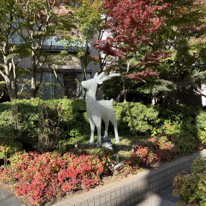 フォトスポット|765463さんのホテルメトロポリタン 〈JR東日本ホテルズ〉の写真(2597822)