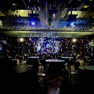 プロジェクション|765463さんのシャングリ・ラ 東京の写真(2543268)