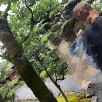 庭園を歩いて中へ