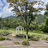 緑に囲まれた静かな場所です