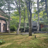 8月下旬には苔の色が茶色くなってくるそうです