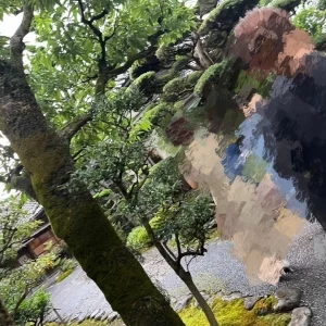 庭園を歩いて中へ|765515さんの辻家庭園 ～前田家家老旧横山家迎賓館～（金沢市指定文化財）の写真(2515864)