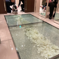 犬がリングドッグとして入場