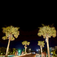 夜のライトアップ