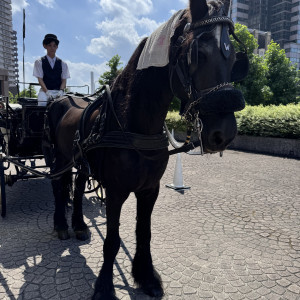 セレモニーで使える馬車|765785さんのウェスティンホテル東京の写真(2515685)