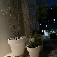 とても大きい植木には驚きます。
