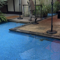 青々としたプール