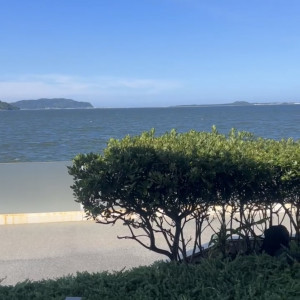 非日常|766152さんのノートルダムマリノア/FIVESTAR WEDDINGの写真(2551578)