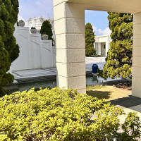 チャペル付近の道なり