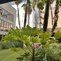 都会の中心なのにオアシスを感じられる