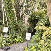 式場入口、わかりやすいように会場の人が待っていてくれた