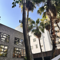 リゾートな感じの庭