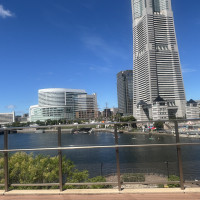 景色が良いです