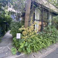 道路からの外観