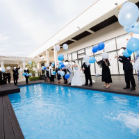 ヴィクトリアハウスガーデン、ドロップアンドフライ