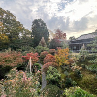 庭の樹木は7割が紅葉樹