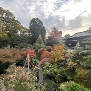 庭の樹木は7割が紅葉樹|766754さんの辻家庭園 ～前田家家老旧横山家迎賓館～（金沢市指定文化財）の写真(2516701)