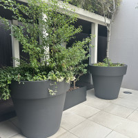 チャペル近くの植木鉢