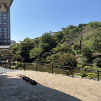 ルミエール外の庭園